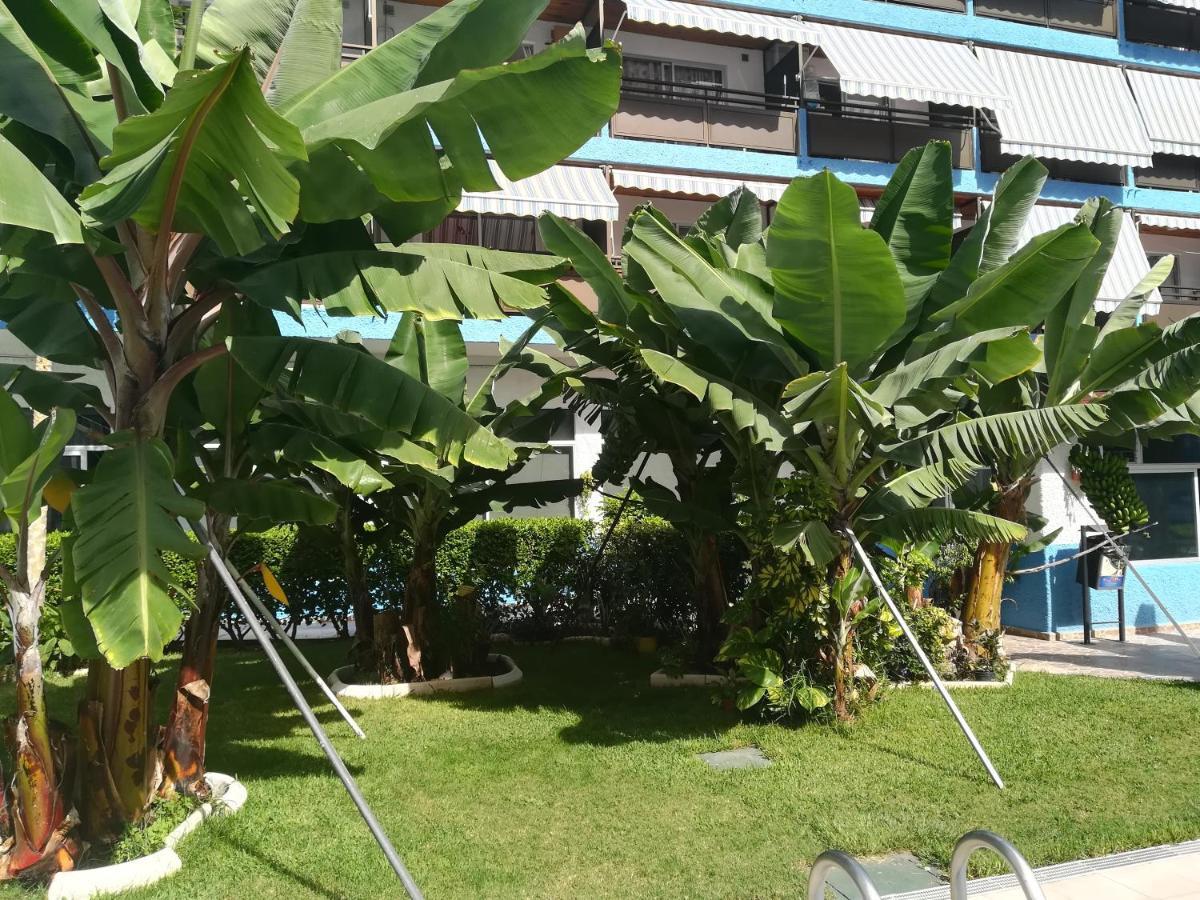 Acogedor estudio con piscina y cerca de la playa Puerto de la Cruz  Exterior foto
