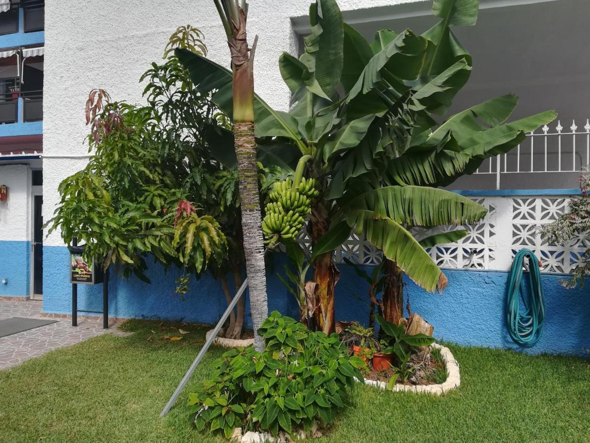 Acogedor estudio con piscina y cerca de la playa Puerto de la Cruz  Exterior foto